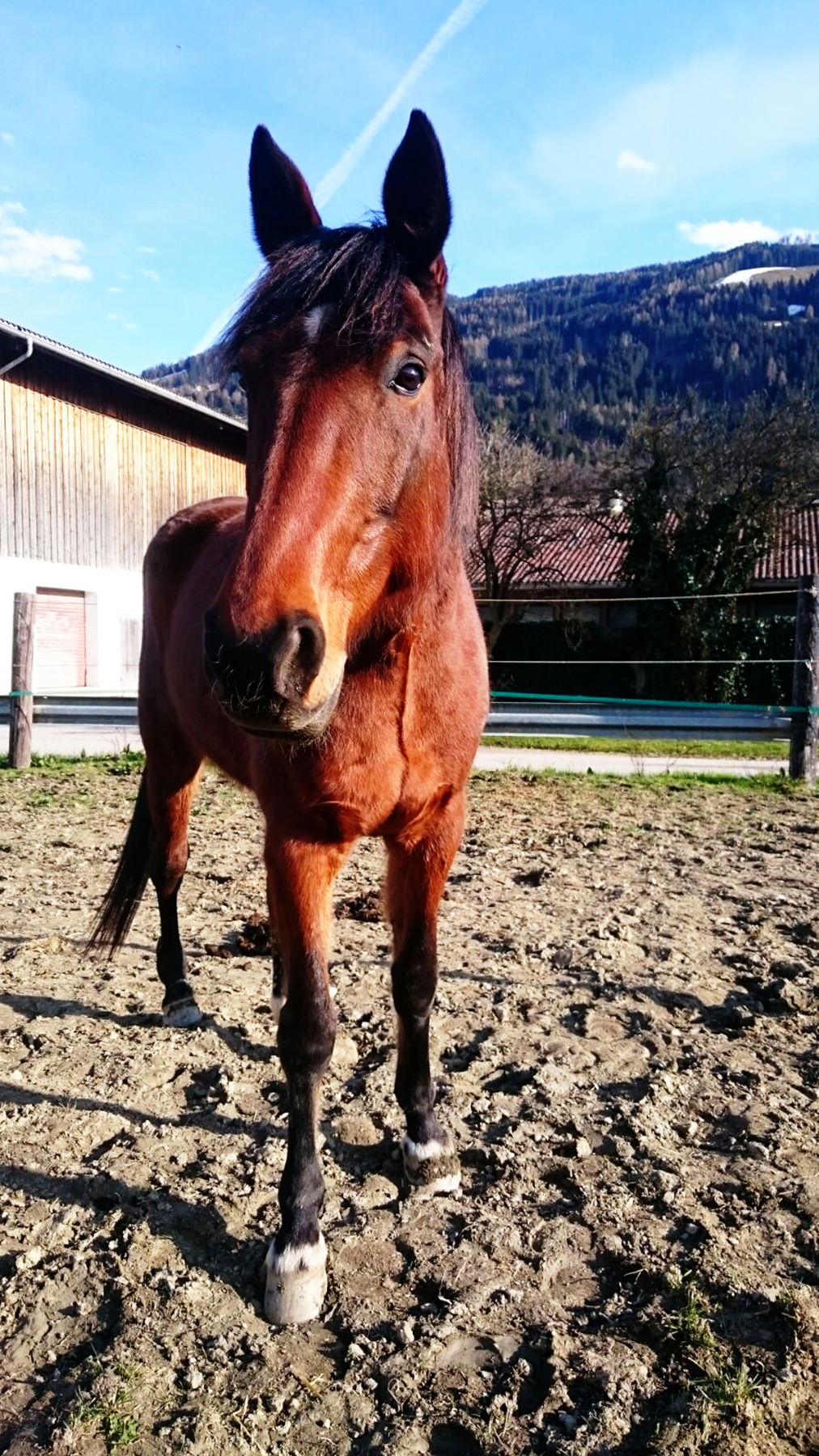 Leroy