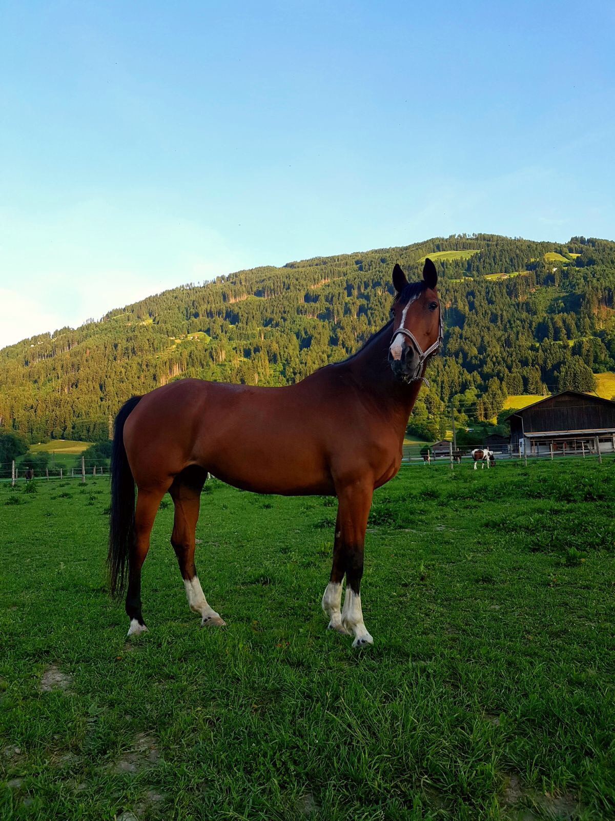 Salina