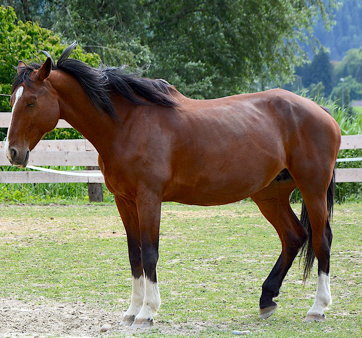 Salina