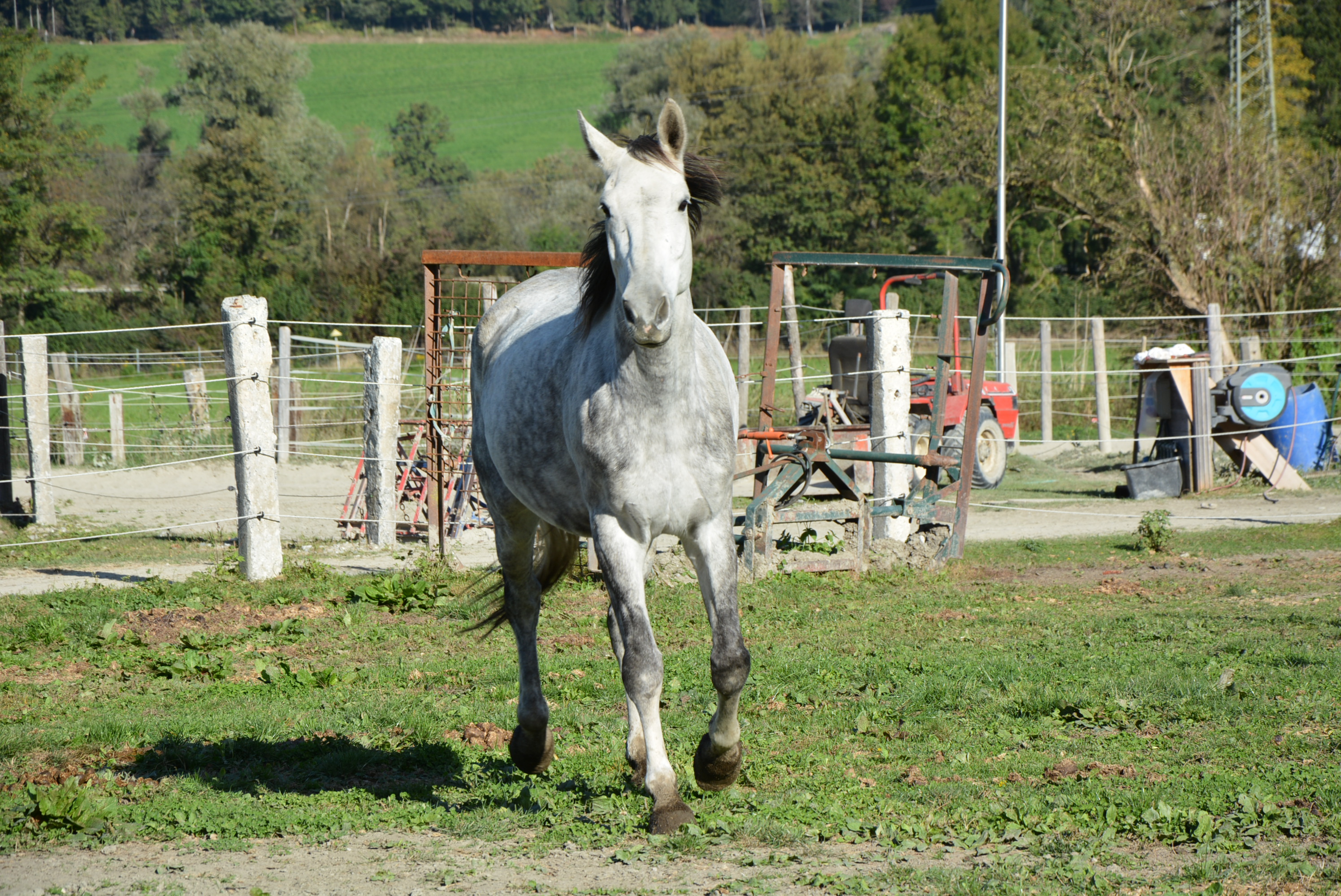 Quinto